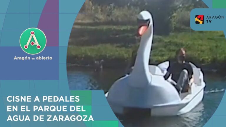 Tiendas de manualidades en Zuera: Gu&iacute;a completa