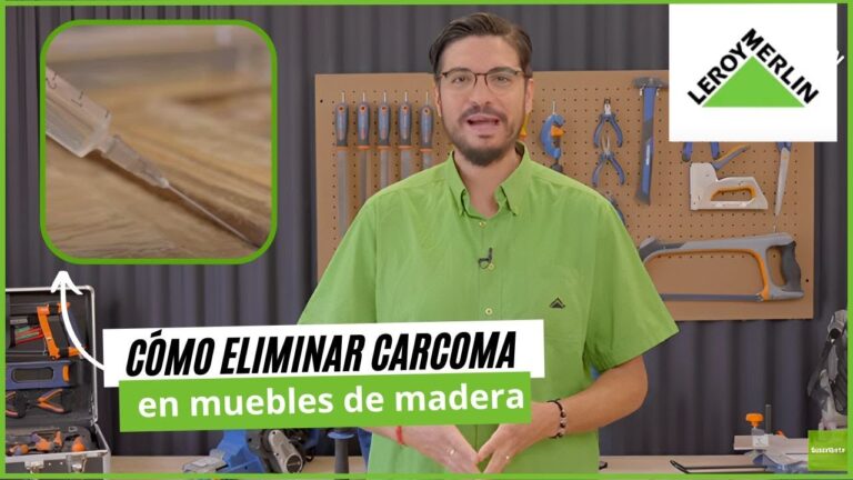 Los Mejores Parques de Ejea de los Caballeros