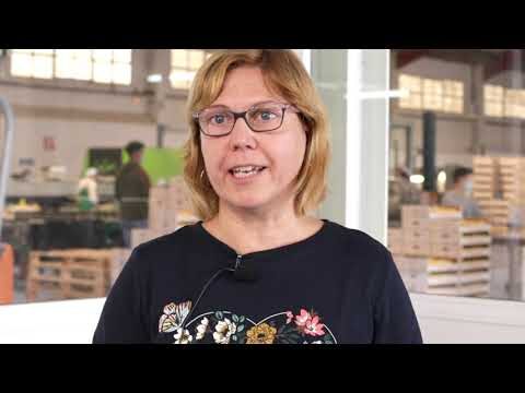 Guía para Comprar Productos de Papelería en Caspe