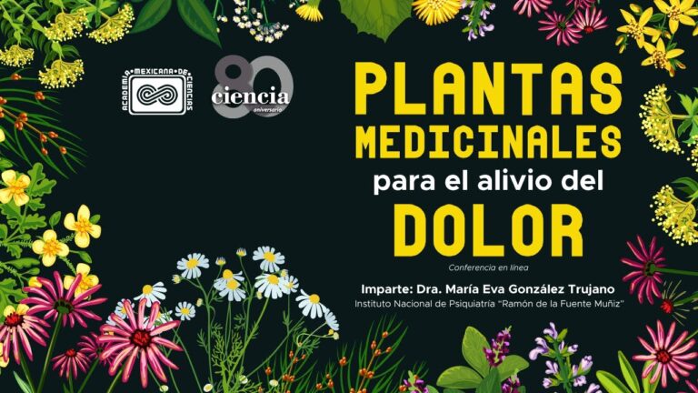 Descubriendo Libros Antiguos en Caspe