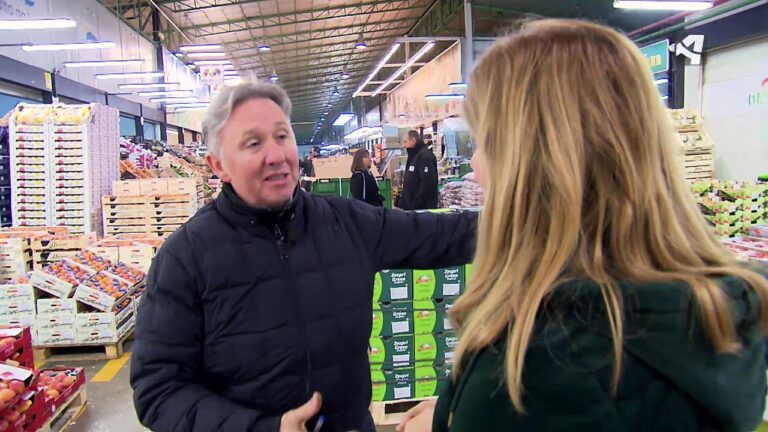 Guía para Comprar Productos de Comercio Justo en Utebo