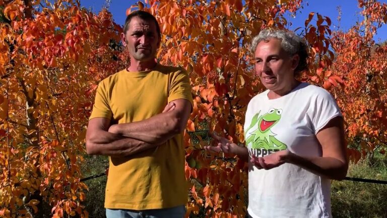 Descubre los Mercados Ecológicos en Calatayud