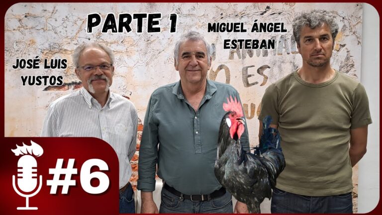 Normas Esenciales para Abrir un Restaurante en Zaragoza