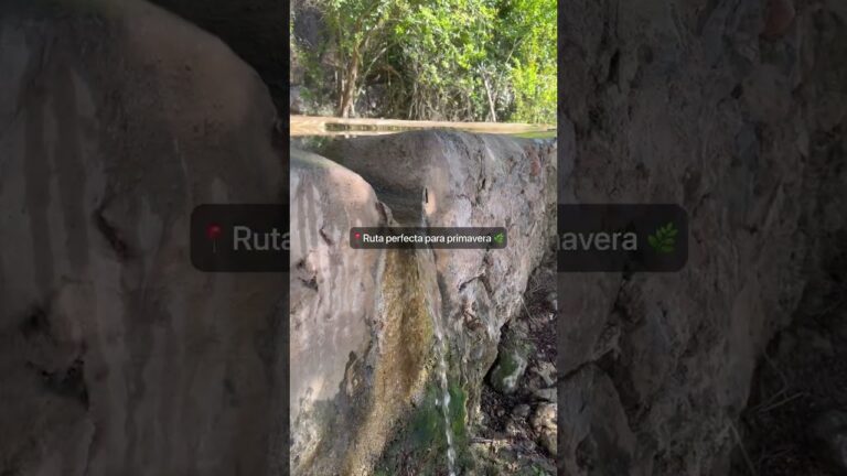 Imprescindibles en La Muela: Descubre sus Mejores Lugares
