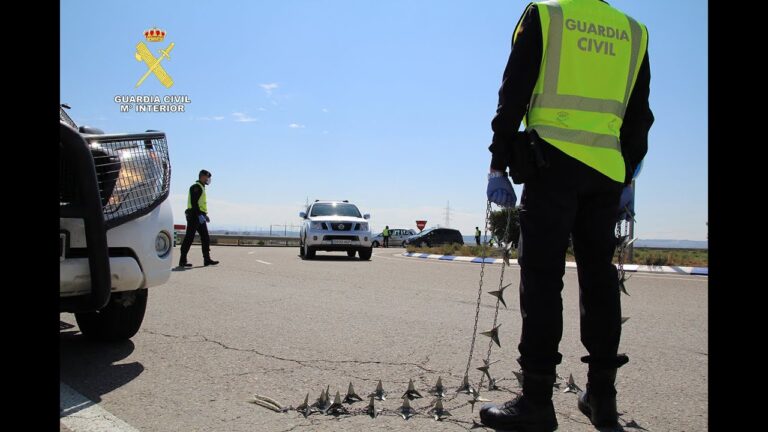 C&oacute;mo actuar ante una multa en Alag&oacute;n