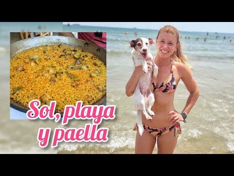 Playas para Perros Cerca de Zaragoza: Opciones y Recomendaciones