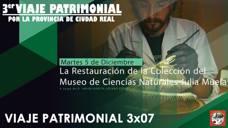 Los Museos Más Interesantes de La Muela